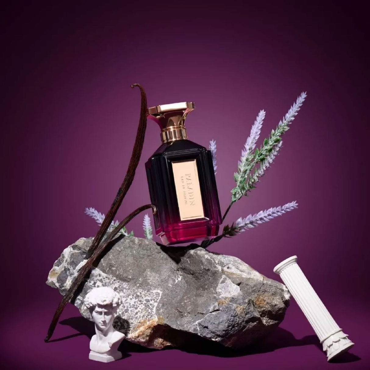 Velixir Parfums Paladin Eau de Parfum for Unisex